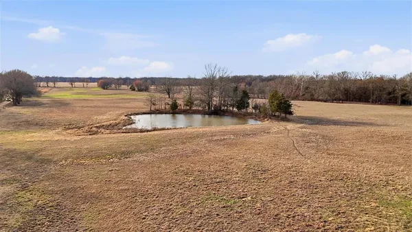 a view of an ocean with a tree