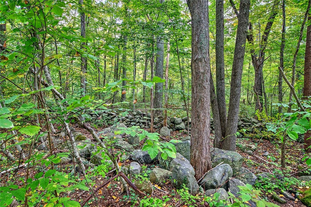 20 Ramble Road Glocester, RI 02857 - Photo 45 of 49