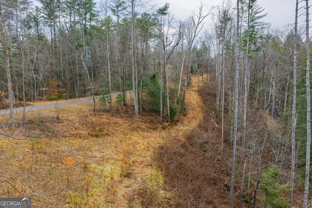 Tract A Hicks Ford Road Ellijay, GA 30540 - Photo 3 of 7