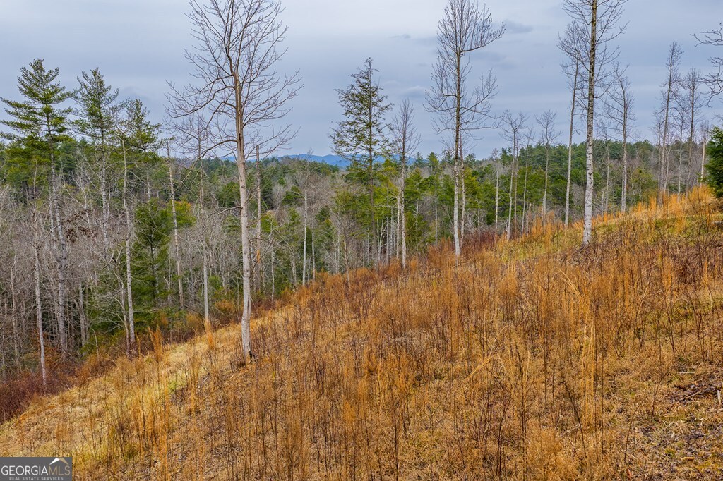 Tract A Hicks Ford Road Ellijay, GA 30540 - Photo 4 of 7