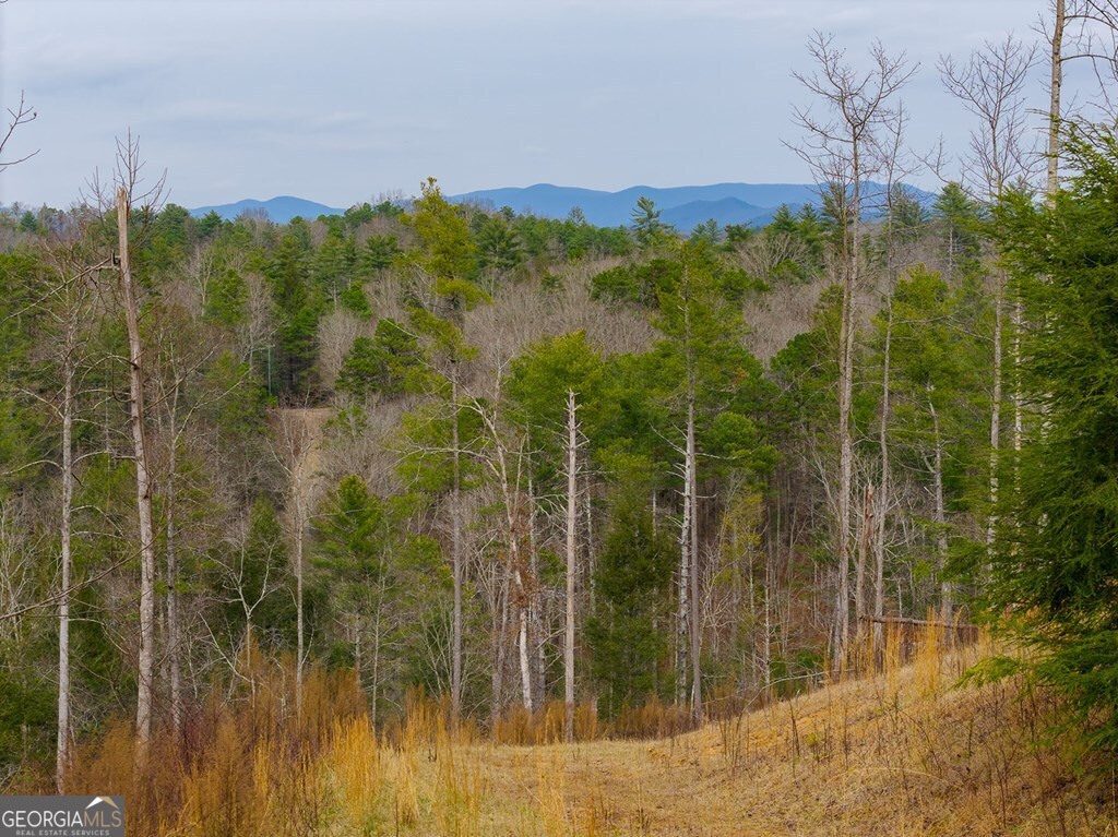 Tract A Hicks Ford Road Ellijay, GA 30540 - Photo 5 of 7