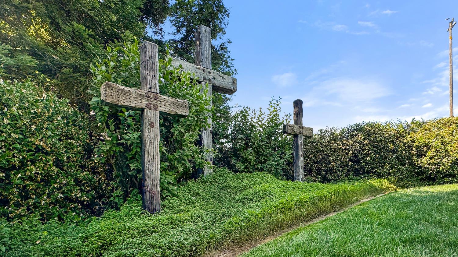 4742 Crow Road Oakdale, CA 95361 - Photo 67 of 95 a view of a garden with plants