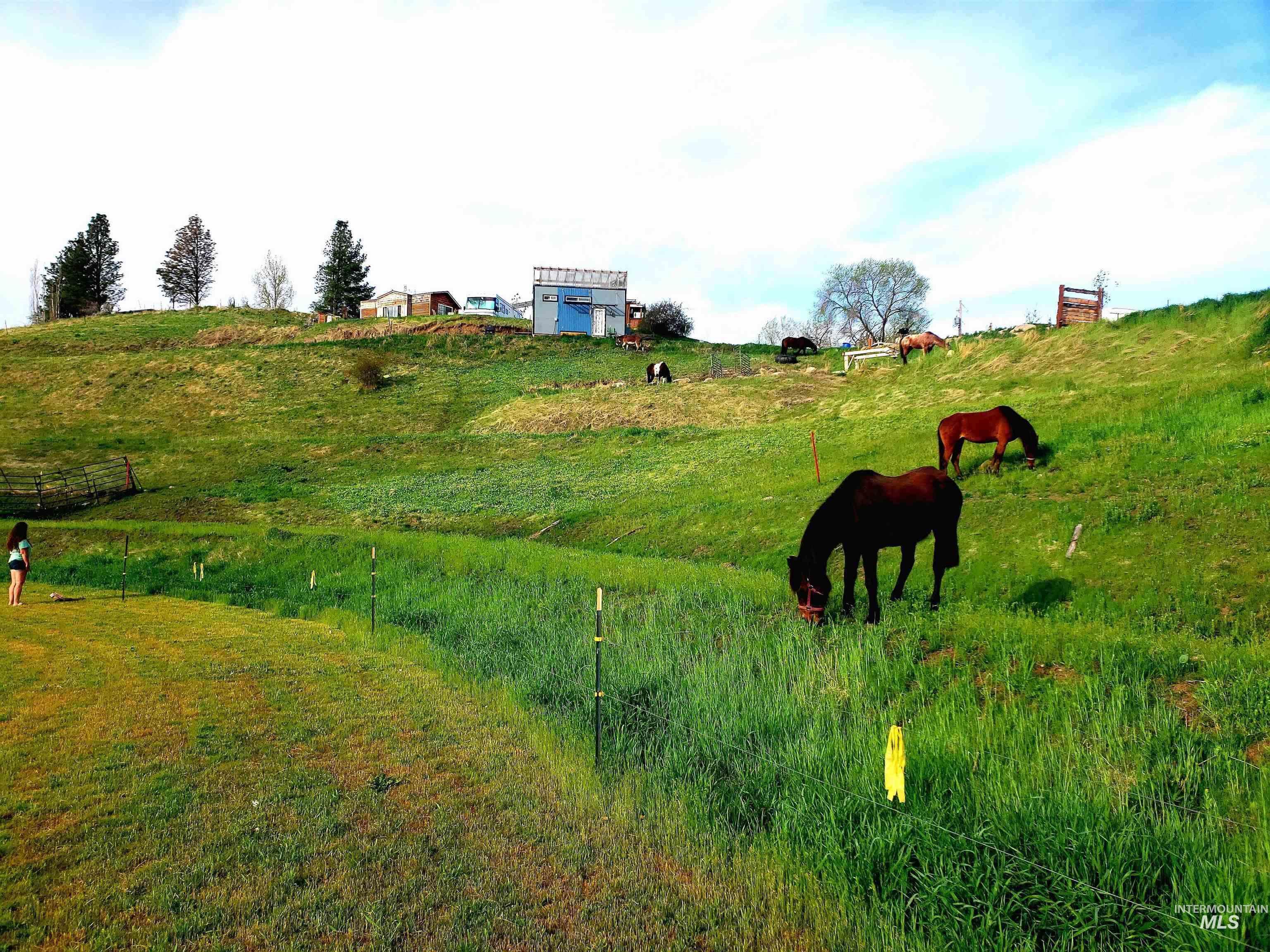 28 Harris Creek Road Horseshoe Bend, ID 83629 - Photo 12 of 30