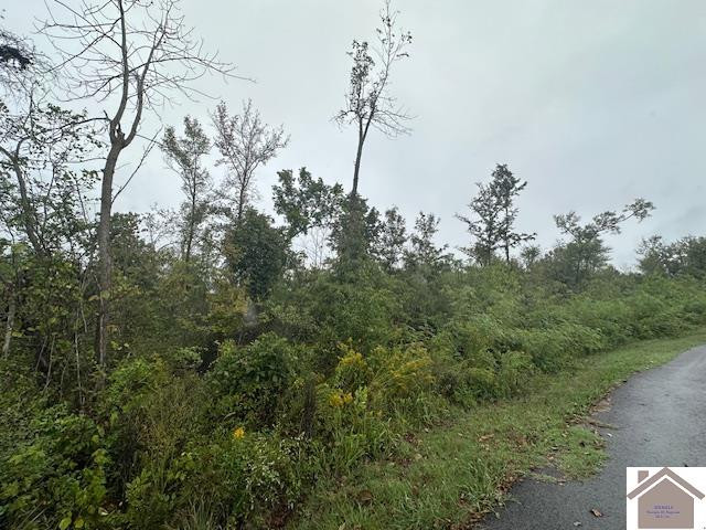 0 Galloway Road Dawson Springs, KY 42408 - Photo 2 of 6 Photo 2