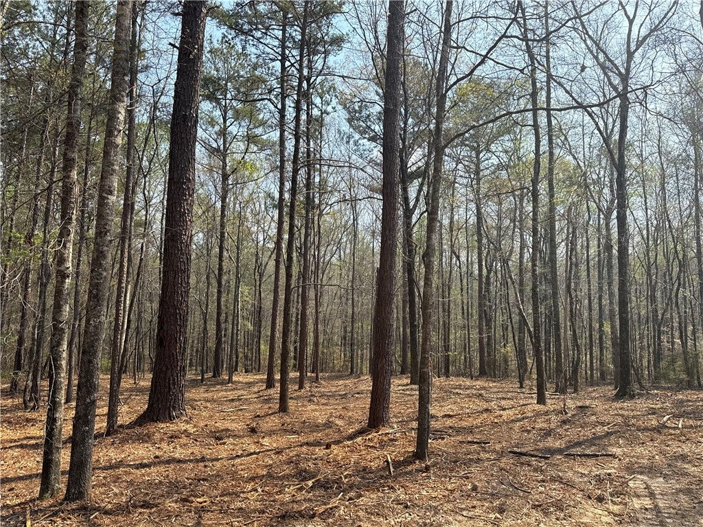 0 Heard Road Waverly, AL 36879 - Photo 10 of 11 Gallery Image 10