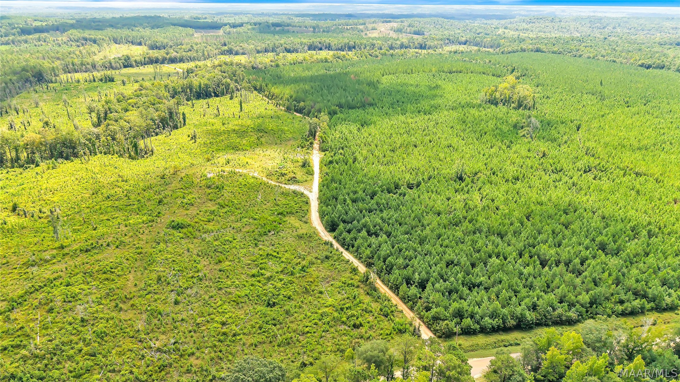 0 Halso Mill Road Greenville, AL 36037 - Photo 15 of 26 Gallery Image 15