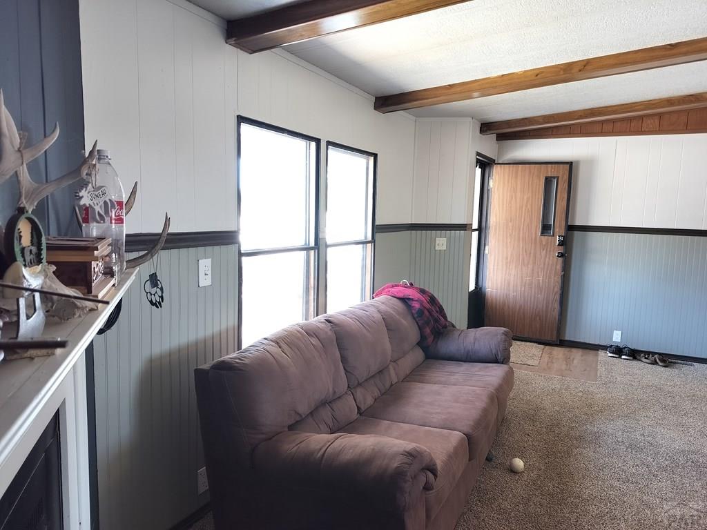 29350 Hillside Road Pueblo, CO 81006 - Photo 4 of 26