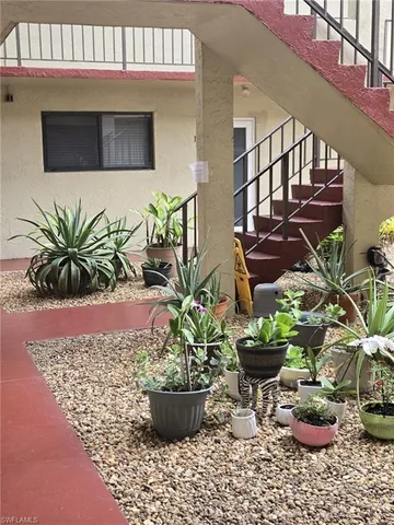 a potted plant sitting in front of a house
