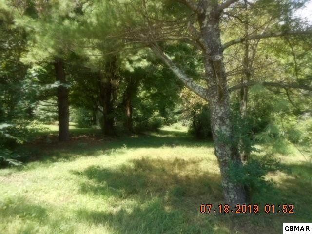 3638 Big Springs Ridge Road Friendsville, TN 37737 - Photo 3 of 31 Gallery Image 3