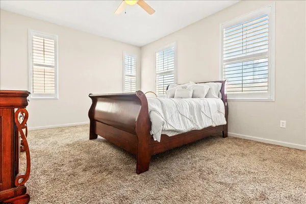 a bedroom with a bed and a potted plant