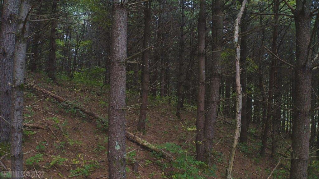 Tbd Julia Simpkins Road Hiwassee, VA 24347 - Photo 20 of 21 Gallery Image 20