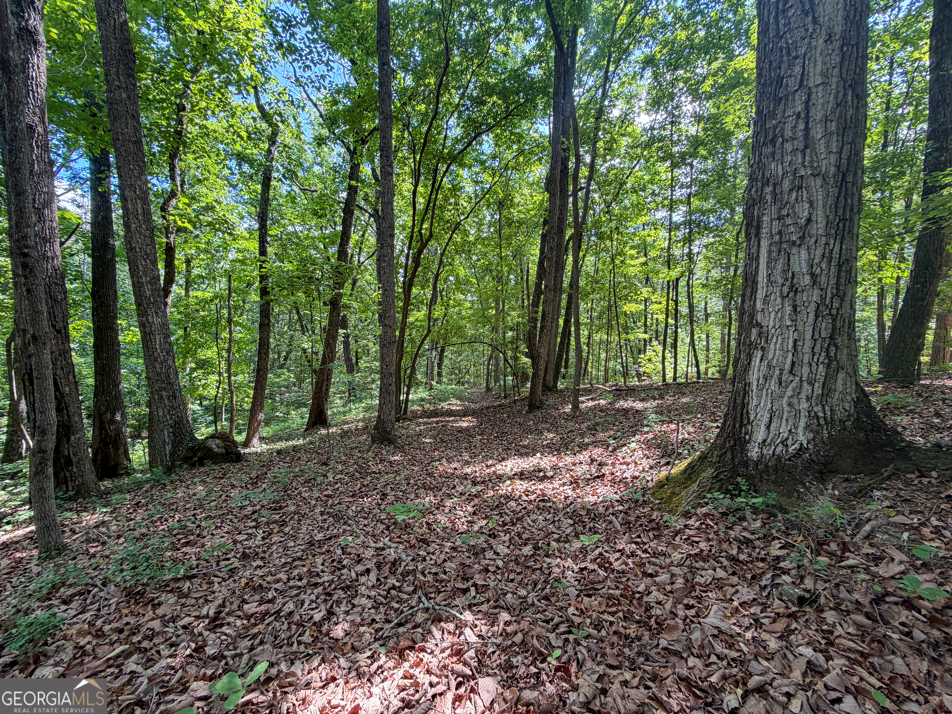 5 Christmas Tree Road Homer, GA 30547 - Photo 19 of 21