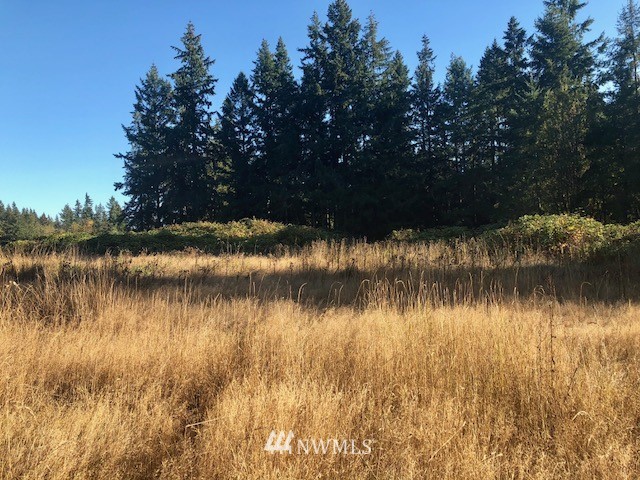 -xxx Erickson Road Clinton, WA 98236 - Photo 1 of 14