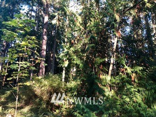 -xxx Erickson Road Clinton, WA 98236 - Photo 11 of 14