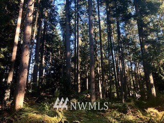 -xxx Erickson Road Clinton, WA 98236 - Photo 12 of 14