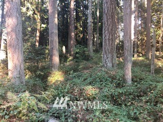 -xxx Erickson Road Clinton, WA 98236 - Photo 13 of 14