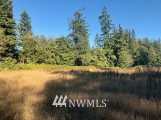 -xxx Erickson Road Clinton, WA 98236 - Photo 3 of 14