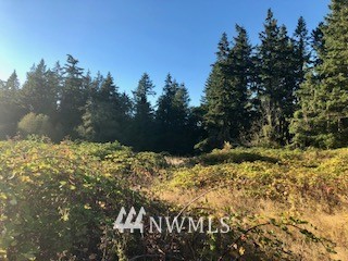 -xxx Erickson Road Clinton, WA 98236 - Photo 4 of 14