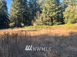 -xxx Erickson Road Clinton, WA 98236 - Photo 5 of 14
