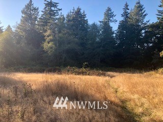 -xxx Erickson Road Clinton, WA 98236 - Photo 6 of 14