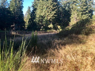 -xxx Erickson Road Clinton, WA 98236 - Photo 7 of 14