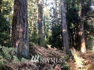 -xxx Erickson Road Clinton, WA 98236 - Photo 8 of 14