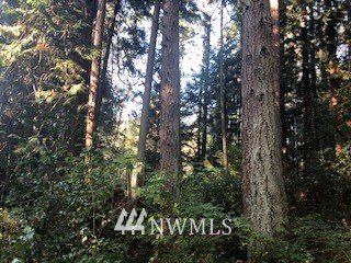 -xxx Erickson Road Clinton, WA 98236 - Photo 10 of 14