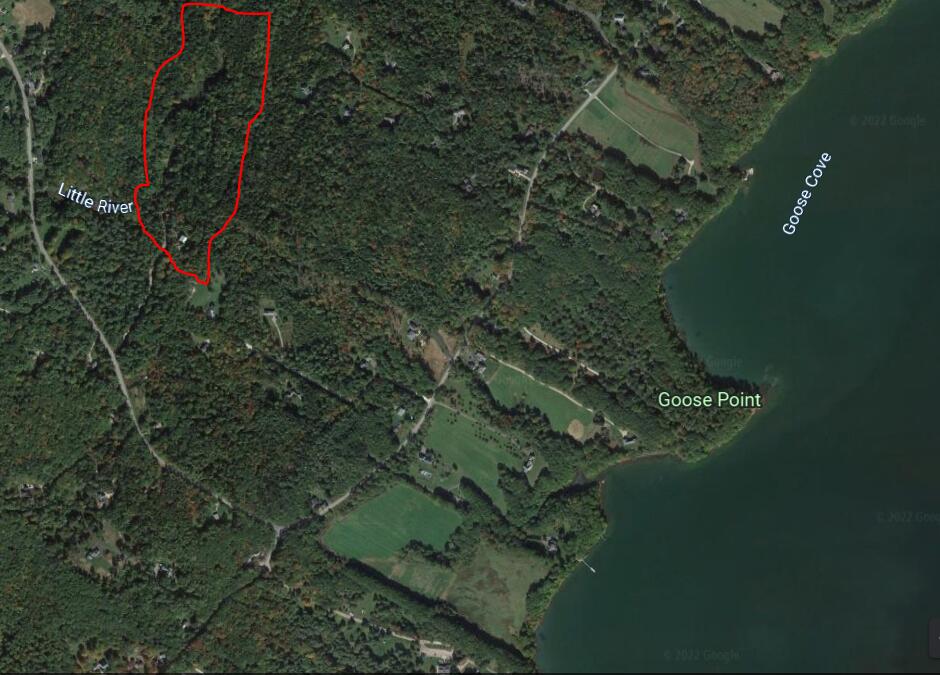 38 Kings Timber Way Freeport, ME 04032 - Photo 6 of 6 Overview to shore
