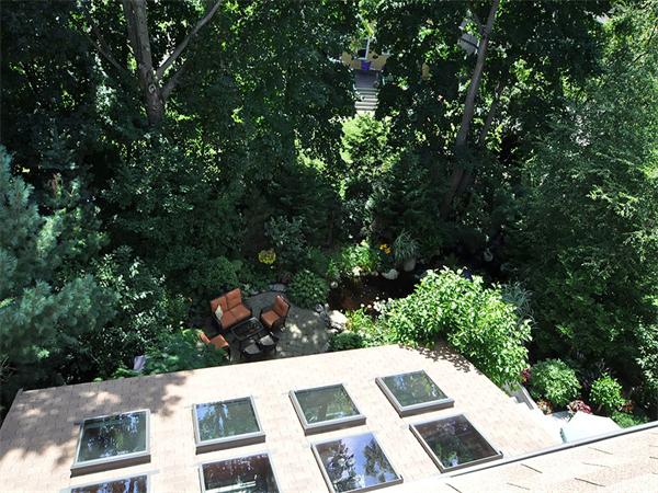 45 Parley Avenue Boston, MA 02130 - Photo 20 of 28 a view of a yard with plants and large trees
