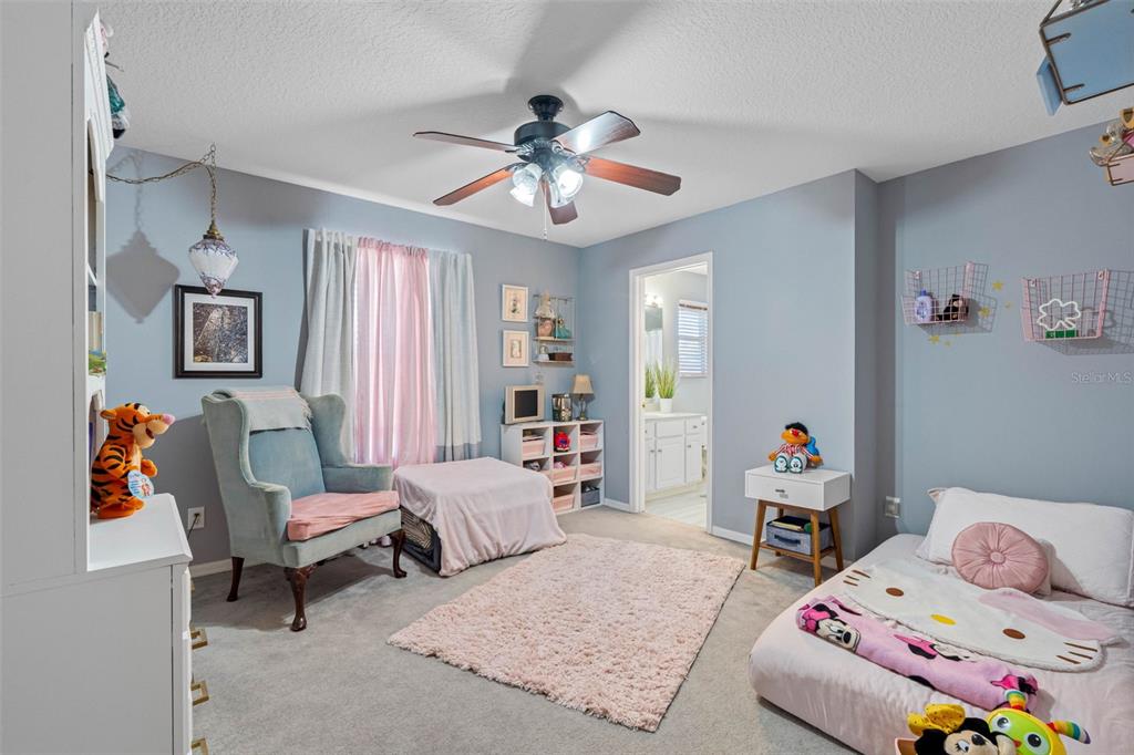 10746 Firebrick Court Trinity, FL 34655 - Photo 24 of 35