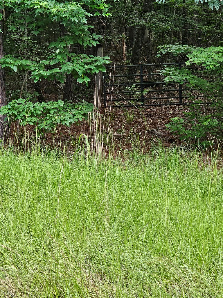0 Barnes Mill Road Hamilton, GA 31811 - Photo 2 of 3