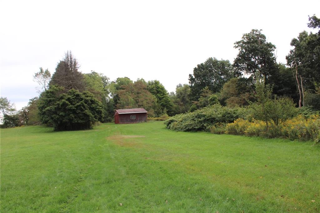 2101 Butler Logan Road Tarentum, PA 15084 - Photo 2 of 13 a view of a big yard with plants and large trees