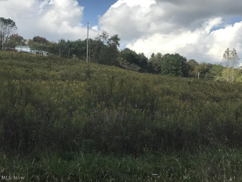 New Riley Road Road Dresden, OH 43821 - Photo 1 of 1 Vacant Ground