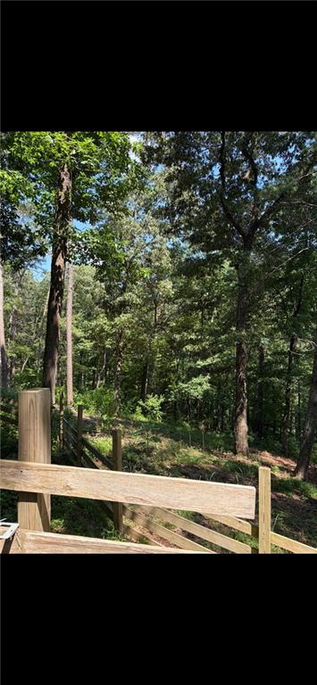 388 River Shoals Road Dawsonville, GA 30534 - Photo 13 of 15