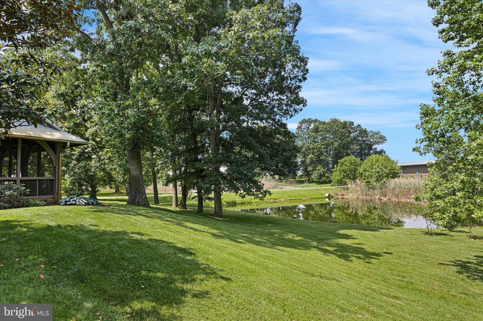 1455 Cayots Corner Road Chesapeake City, MD 21915 - Photo 128 of 141 a big yard with lots of green space and trees