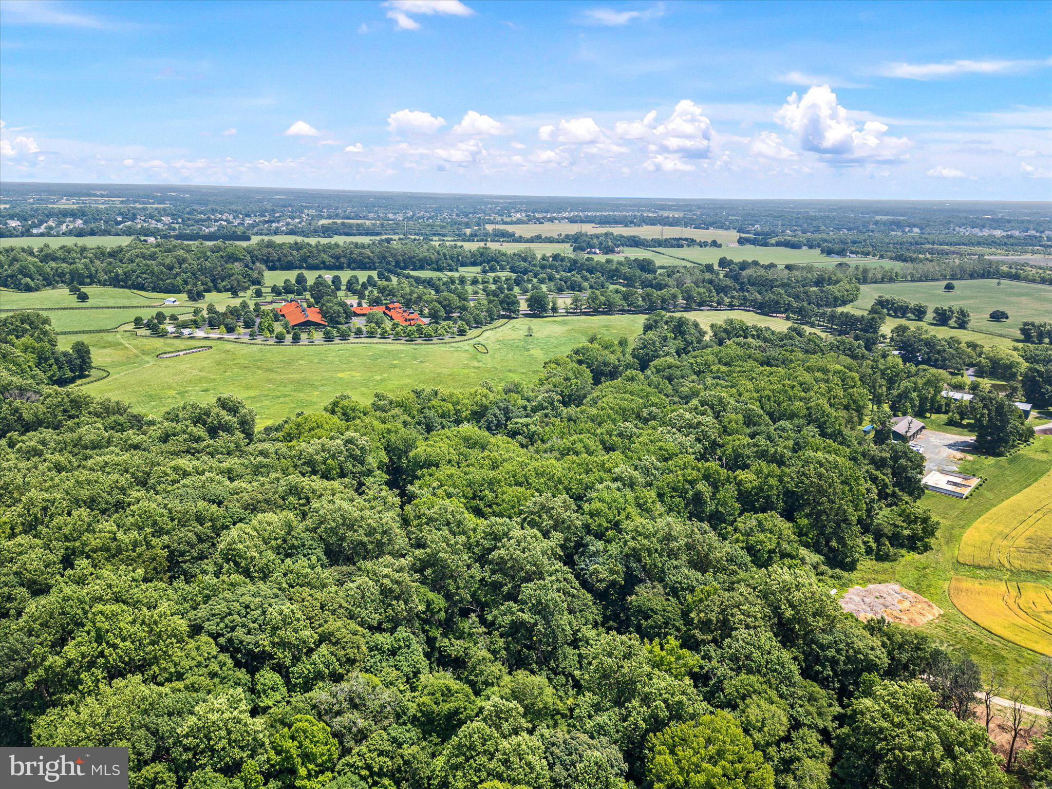 1455 Cayots Corner Road Chesapeake City, MD 21915 - Photo 135 of 141 a view of a city with lush green forest