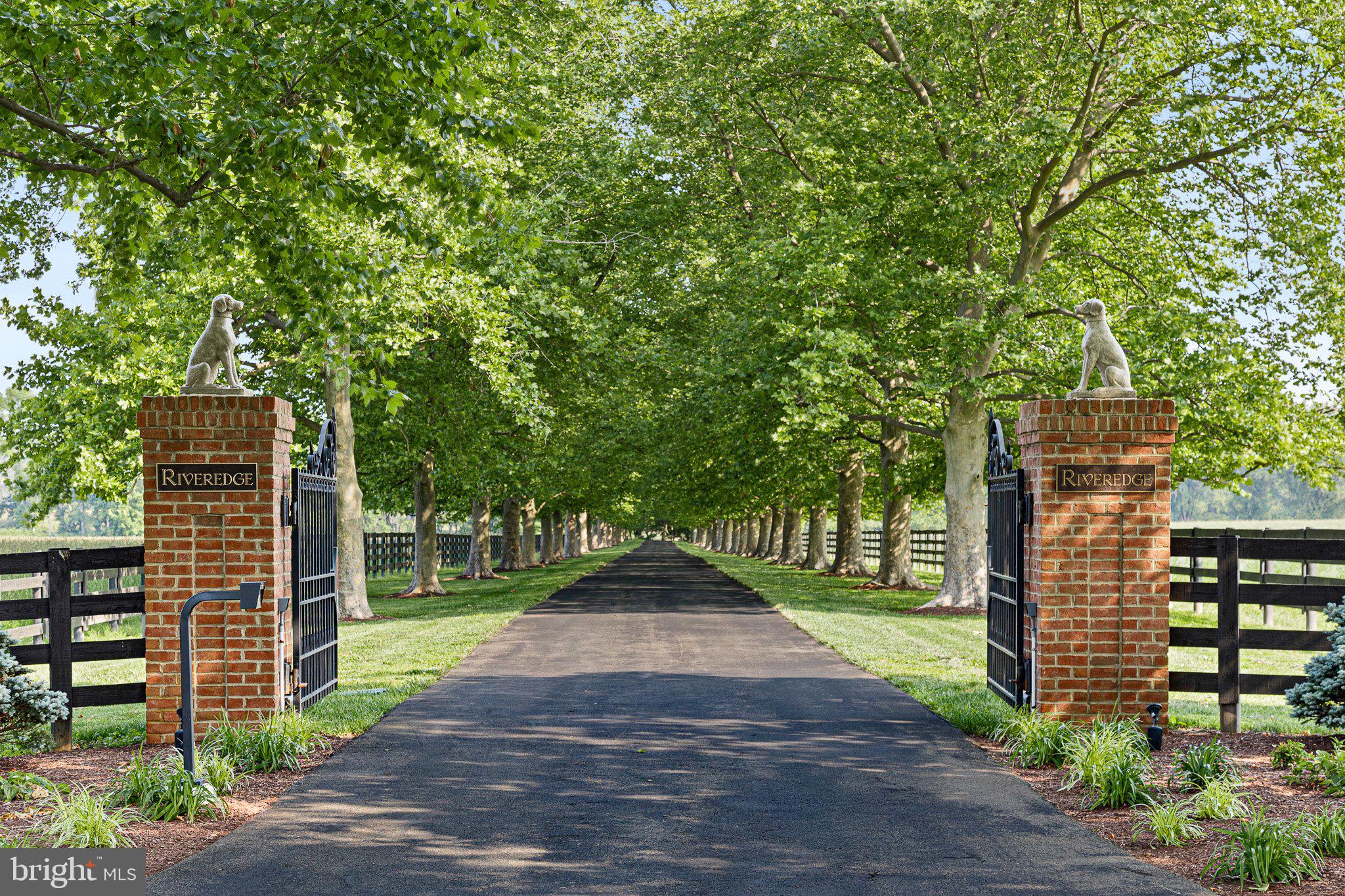 1455 Cayots Corner Road Chesapeake City, MD 21915 - Photo 4 of 141 a view of pathway with wooden fence