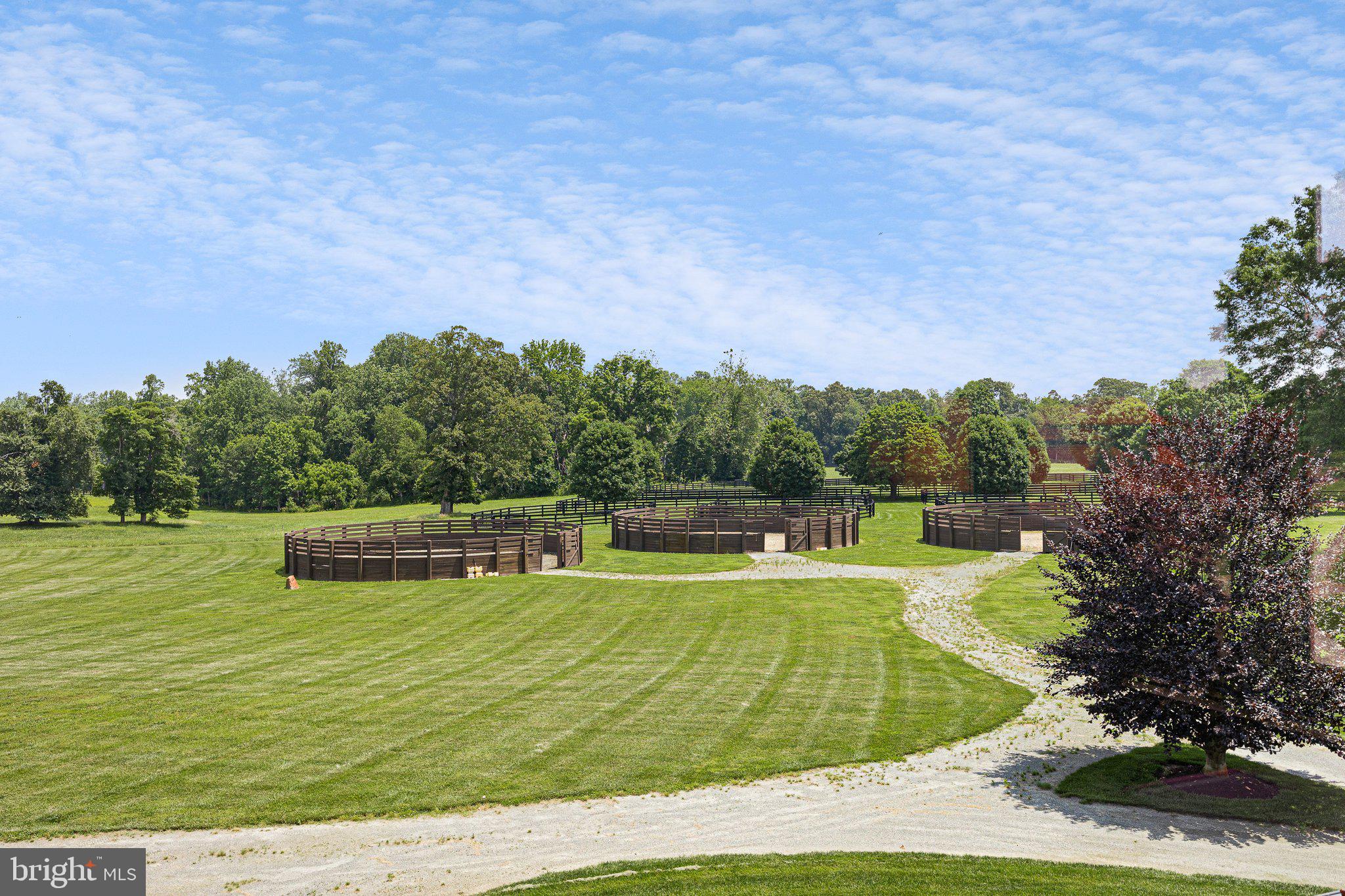 1455 Cayots Corner Road Chesapeake City, MD 21915 - Photo 64 of 141 a view of a swimming pool with a yard