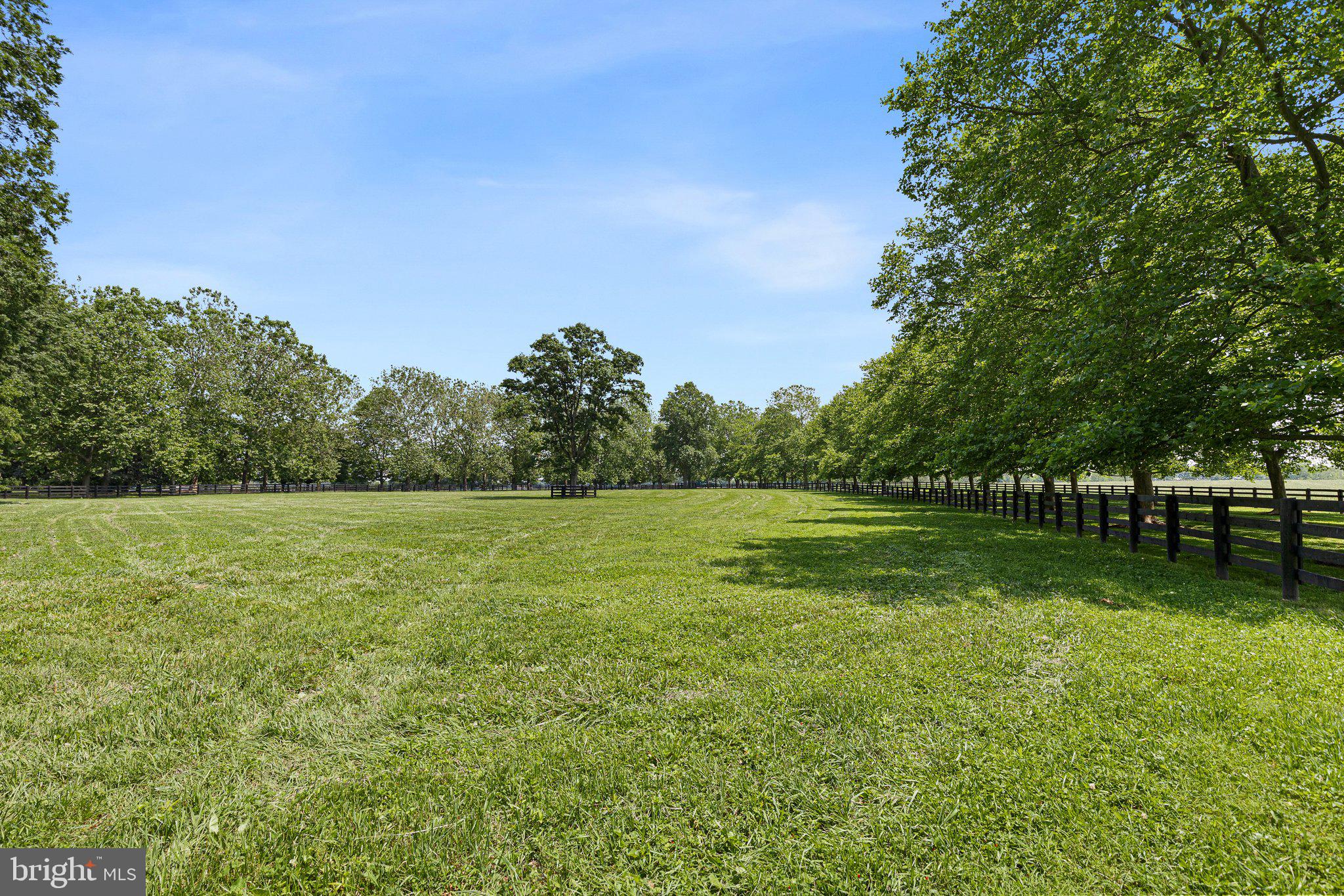 1455 Cayots Corner Road Chesapeake City, MD 21915 - Photo 68 of 141