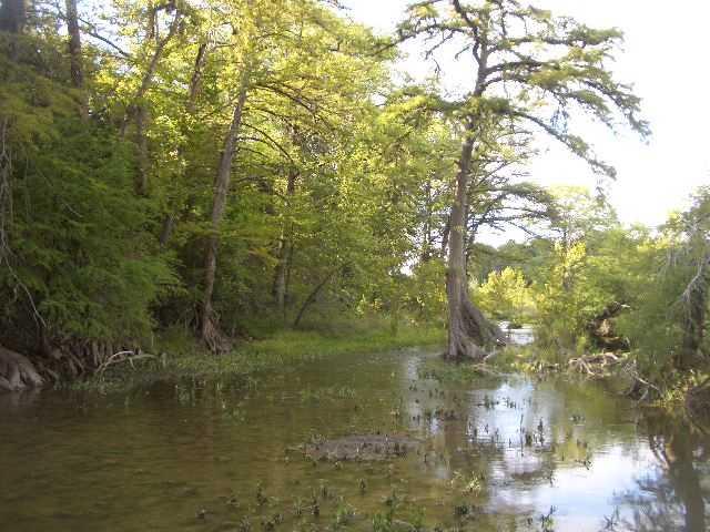 311 Field Road Fischer, TX 78623 - Photo 1 of 1 Waterfront/Dock/Pier : River bottom on prperty