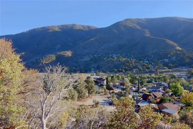 a view of a dry yard with trees and stairs