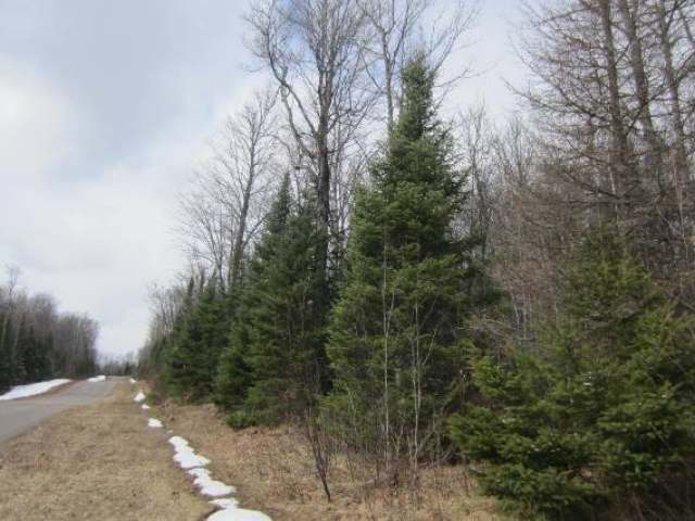 Lot 3 Timberline Road Mercer, WI 54547 - Photo 9 of 9 Gallery Image 9