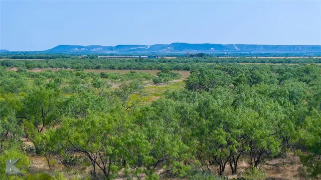 a view of a lush green forest with trees in the background