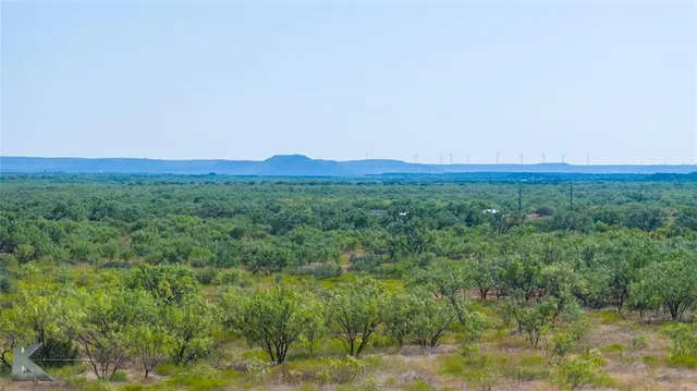 a view of a lush green outdoor space with a mountain in the background