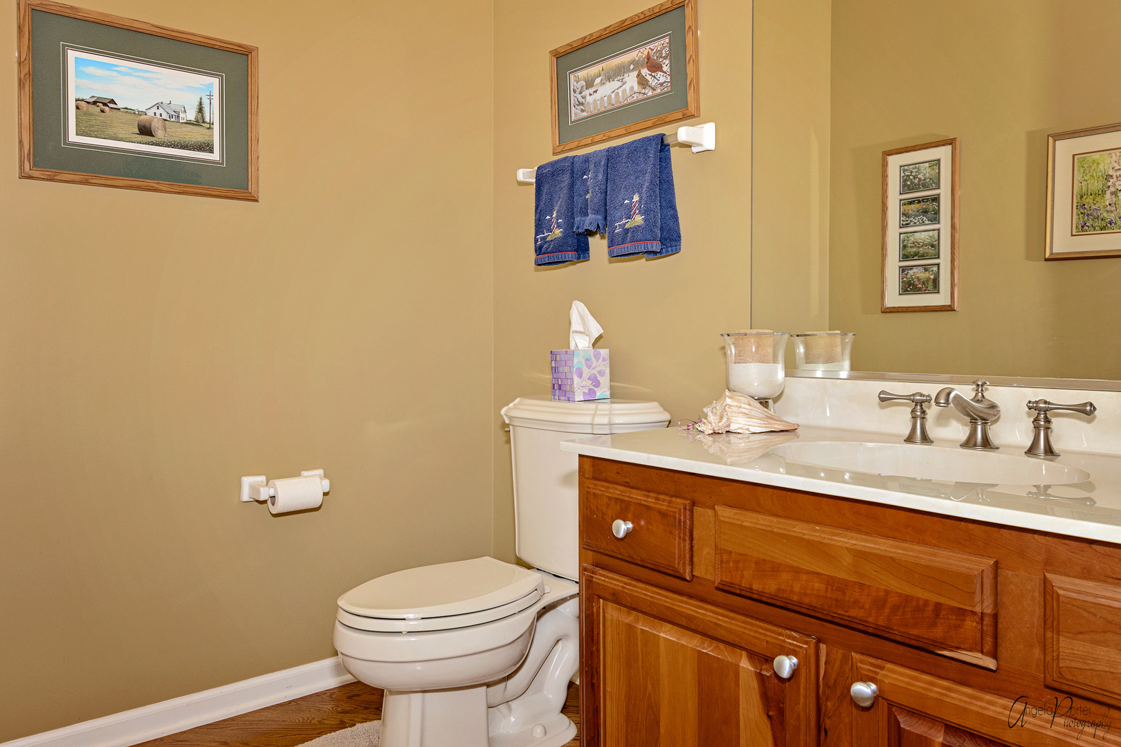 398 Sterling Circle Cary, IL 60013 - Photo 26 of 68 a bathroom with a granite countertop toilet sink and mirror
