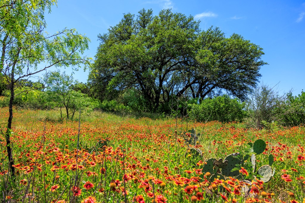 256 Persimmon Point Mason, TX 76856 - Photo 57 of 60