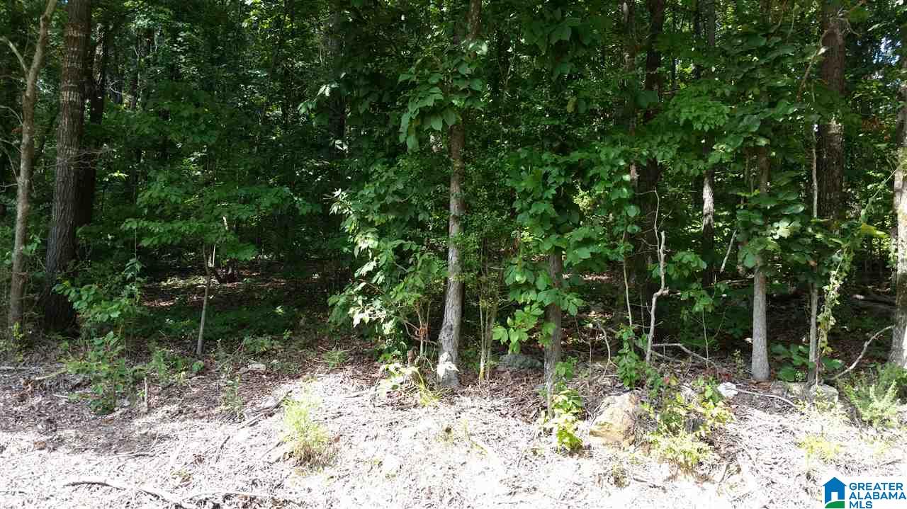 1885 Brooks Lake Road Lincoln, AL 35096 - Photo 11 of 30