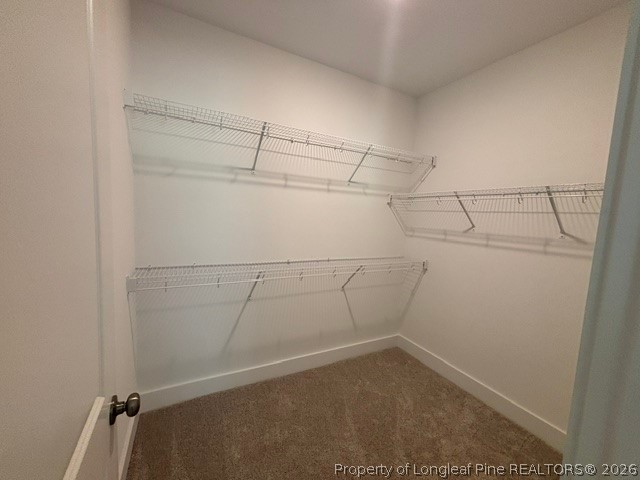 505 Chason Road Lumber Bridge, NC 28357 - Photo 22 of 38 Owners Suite Walk In Closet