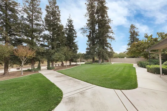 a view of a park with large trees