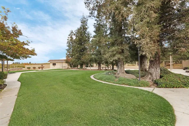 a view of a garden with trees